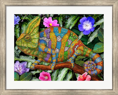 Framed Veiled Chameleon Rainbow Print