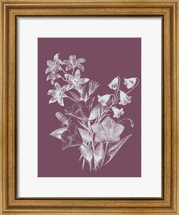 Framed Campanulas Purple Flower Print