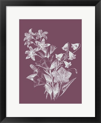 Framed Campanulas Purple Flower Print