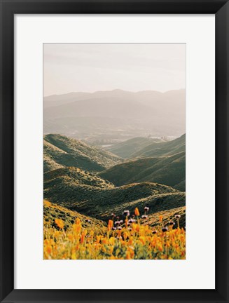 Framed Palomar Print