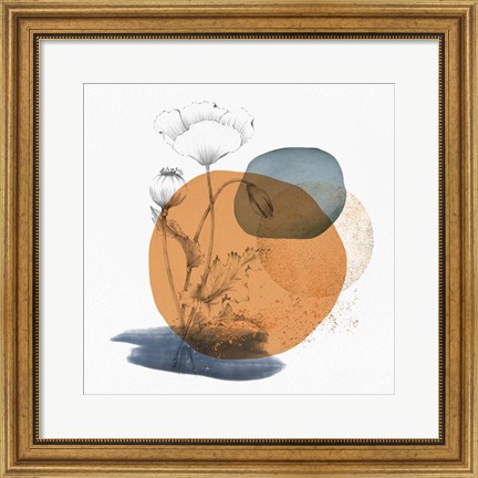 Framed Abstract Flower Composition Print