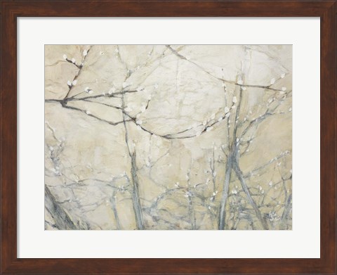 Framed Budding Pussy Willow Print