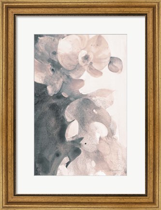 Framed Orchid Splendor II Blush Print
