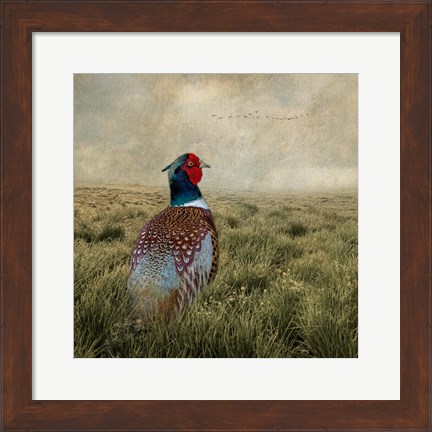 Framed Have a Very Pheasant Day Print