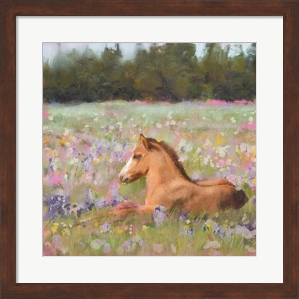 Framed Spring Time Foal Print