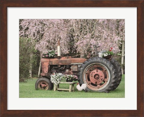 Framed Rooster in the Spring Print