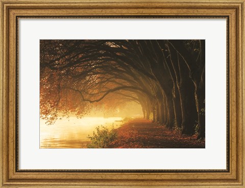 Framed Autumn Sunrise Print