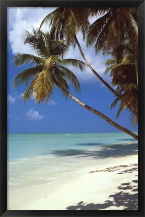 Tropical Beach Wall Poster by Unknown at FulcrumGallery.com
