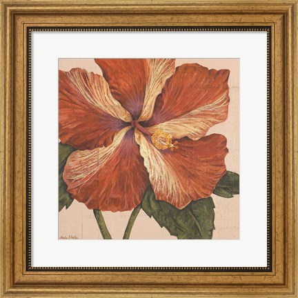 Framed Island Hibiscus I Print