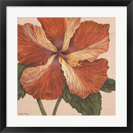 Framed Island Hibiscus I Print