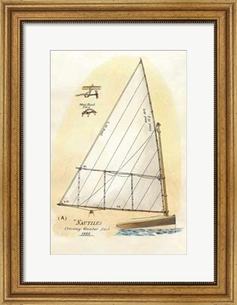 Framed Nautilus III Print