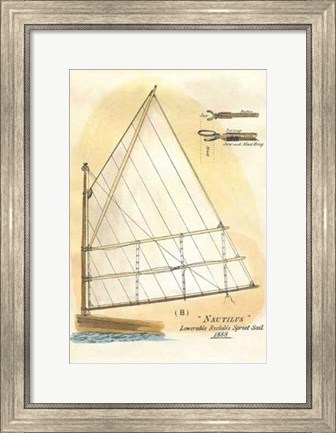 Framed Nautilus IV Print