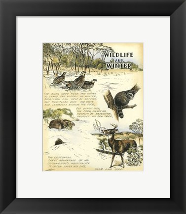 Framed Wildlife Print