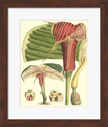 Framed Botanical Fantasy II Print