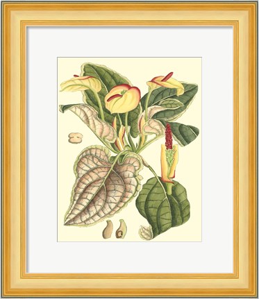 Framed Botanical Fantasy III Print