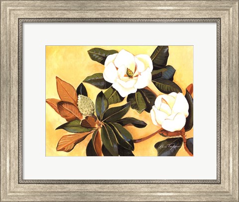 Framed Southern Magnolia I Print