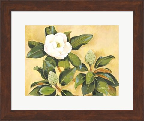 Framed Southern Magnolia II Print