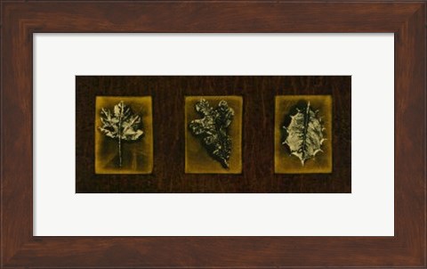 Framed Block Leaf Panel II Print
