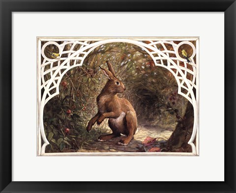 Framed Missy Rabbit Print