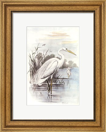 Framed White Heron Print