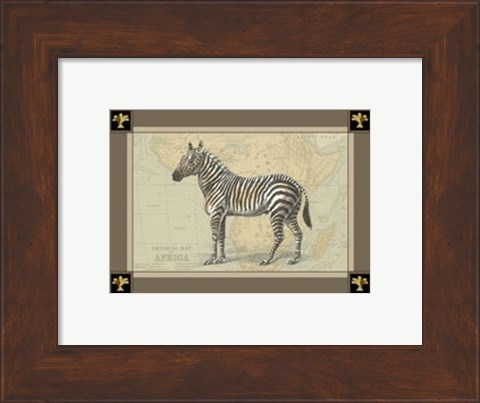 Framed Zebra with Border I Print