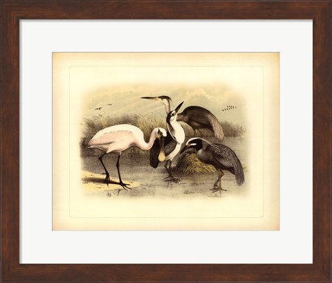 Framed Egret &amp; Heron Print