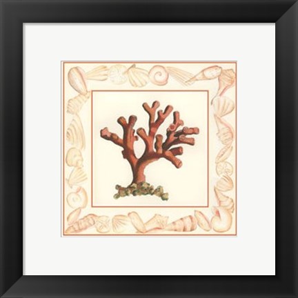 Framed Coral with Shell Border I Print