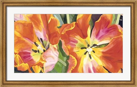 Framed Two Parrot Tulips Print