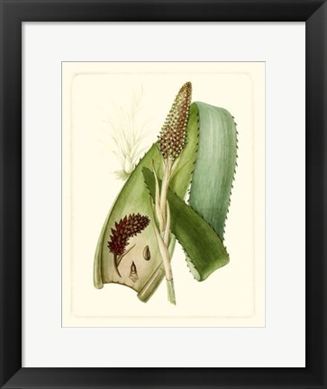 Framed Exotic Flora I Print
