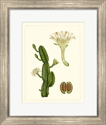 Framed Exotic Flora V Print