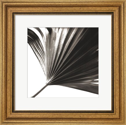 Framed Black and White Palm II Print