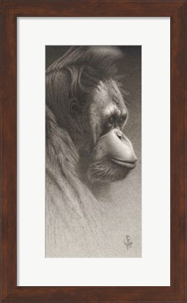 Framed Jojo, The Orangutan Print