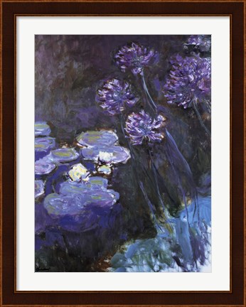 Framed Waterlillies and Agapanthus Print