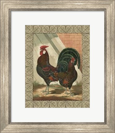 Framed Cassell&#39;s Roosters with Border V Print
