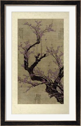 Framed Plum Blossom Tree Print