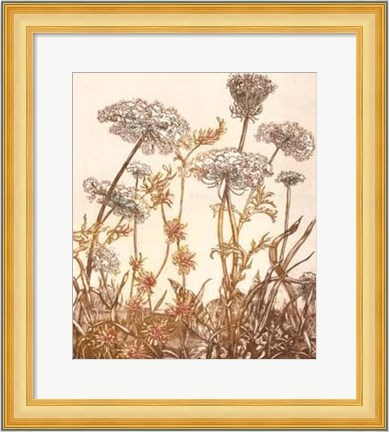 Framed Field of Lace I Print