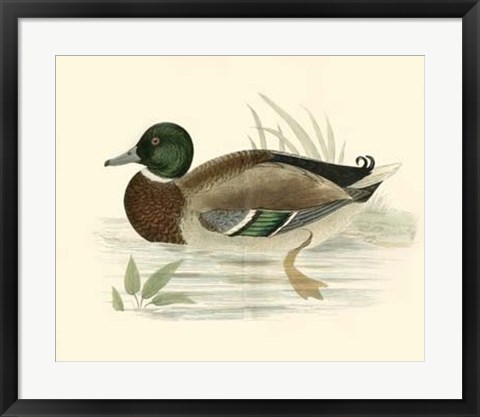 Framed Ducks I Print