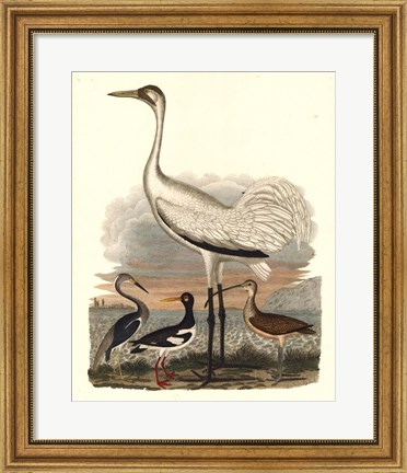 Framed Heron Family III Print
