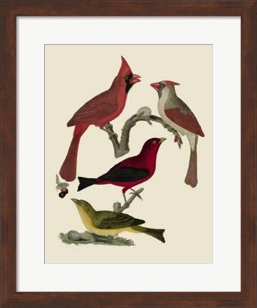 Framed Bird Family IV Print