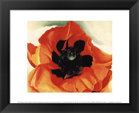 Framed Poppy, 1927 Print