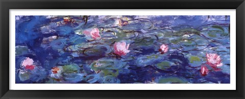 Framed Water Lilies (blue and purple) Print