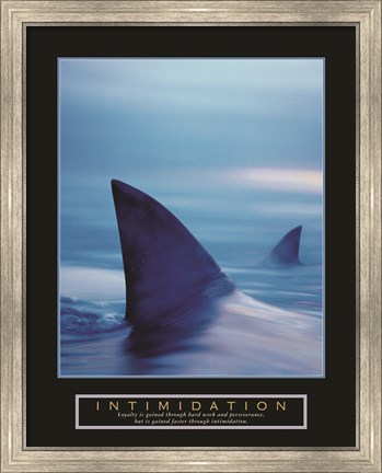 Framed Intimidation - Sharks Print