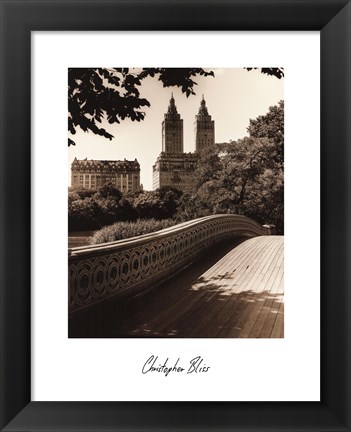 Framed Central Park Bridges I Print