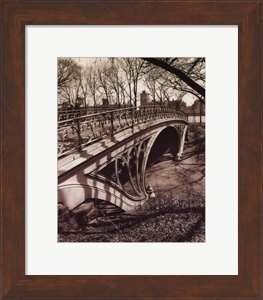 Framed Central Park Bridges III Print
