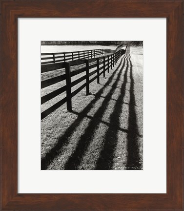 Framed Fences And Shadows, Florida Print