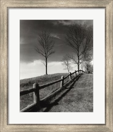 Framed Fences And Trees, Empire, Michigan Print