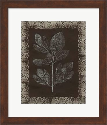 Framed Forest Finery II Print