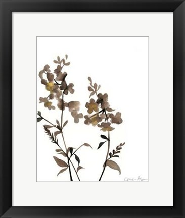 Framed Watermark Wildflowers IV Print