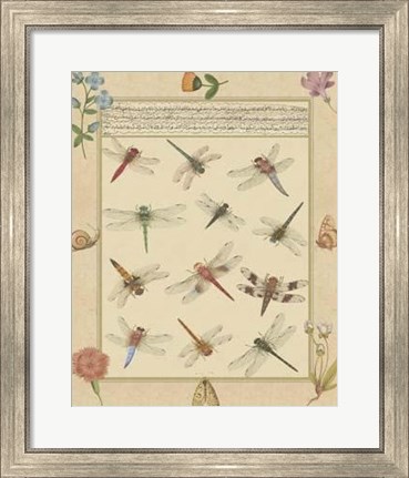 Framed Dragonfly Manuscript I Print