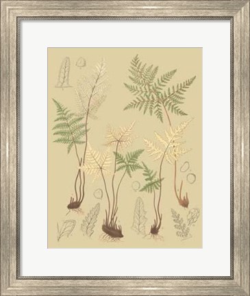 Framed Nature&#39;s Lace II Print